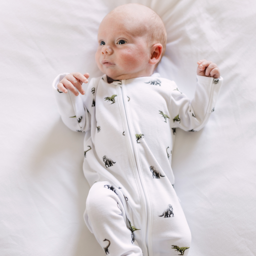 Sleepsuit - Dinosaur