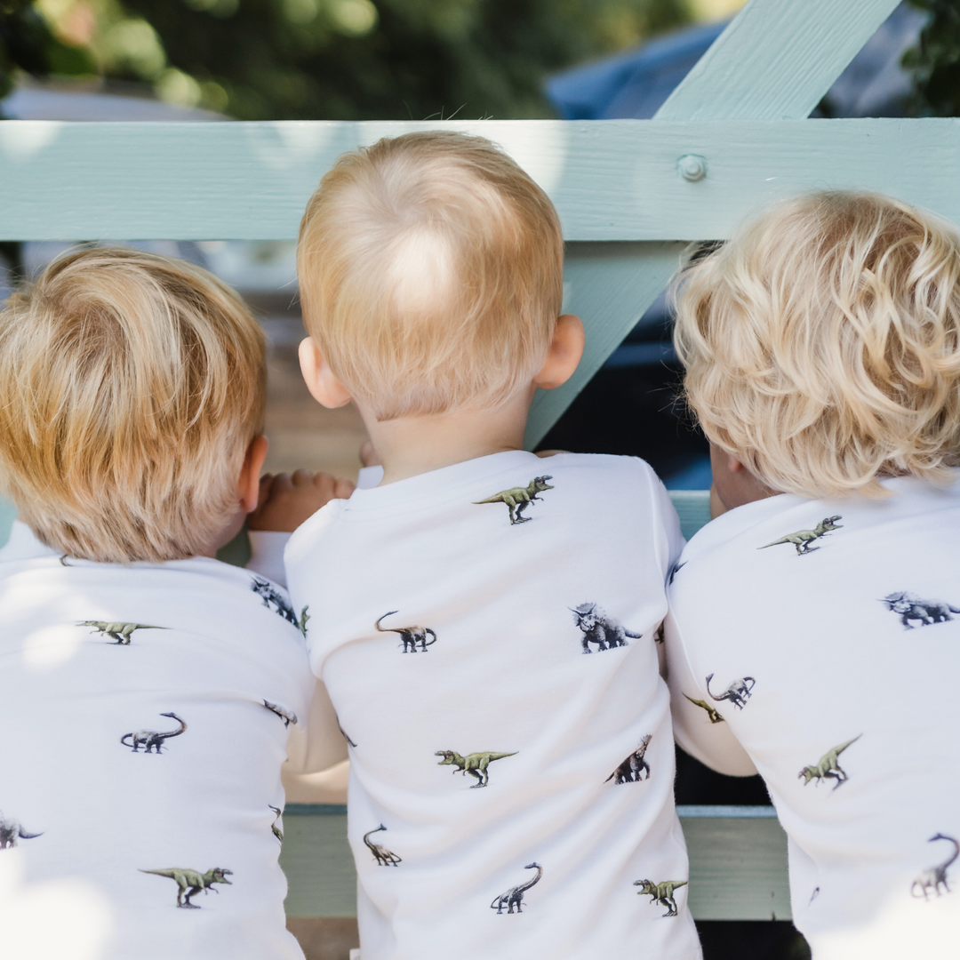 Pyjamas - Dinosaur