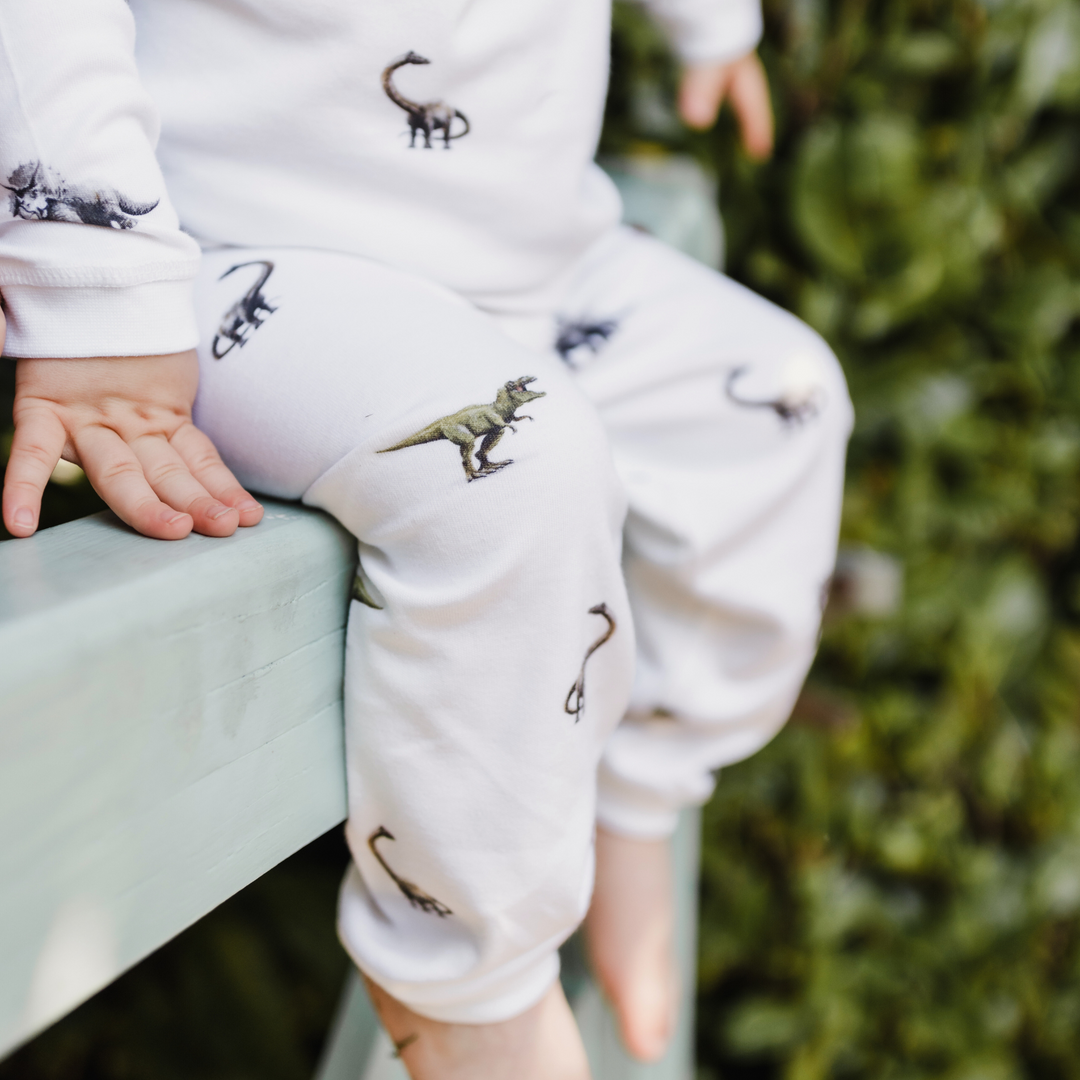 Pyjamas - Dinosaur