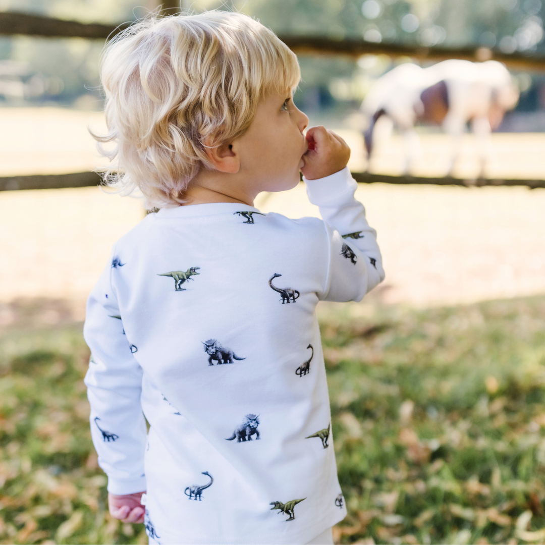 Pyjamas - Dinosaur