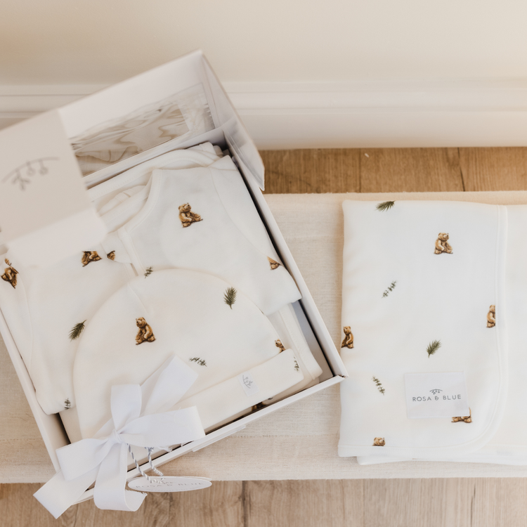 Brown Bear New Arrival Baby Gift Set