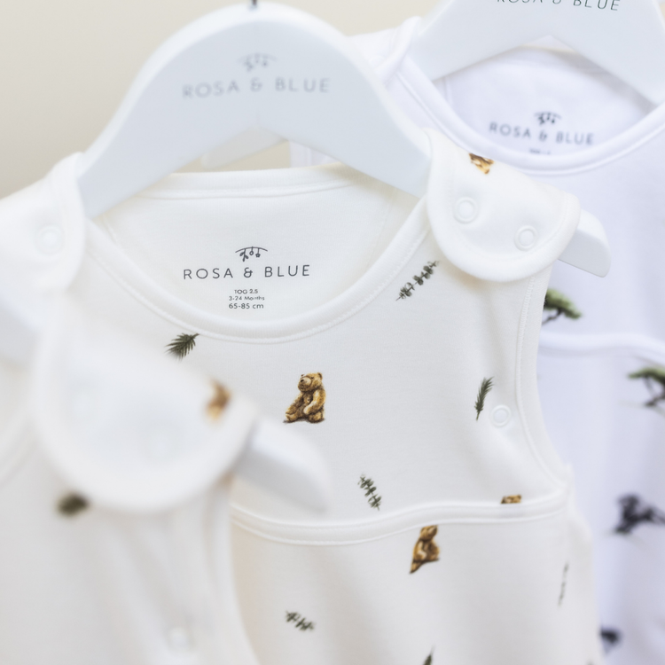 Brown Bear 2.5 Sleeping Bag