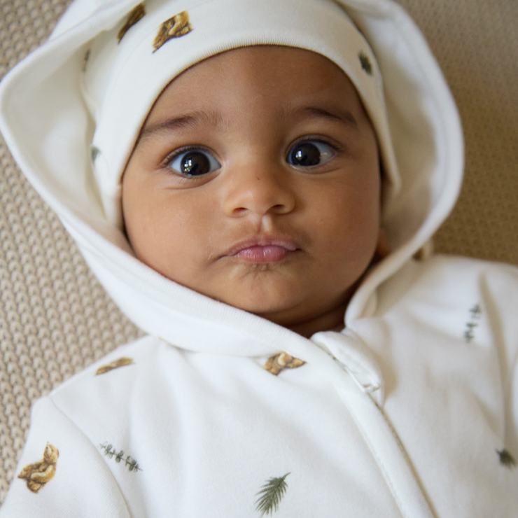 Brown Bear Pramsuit