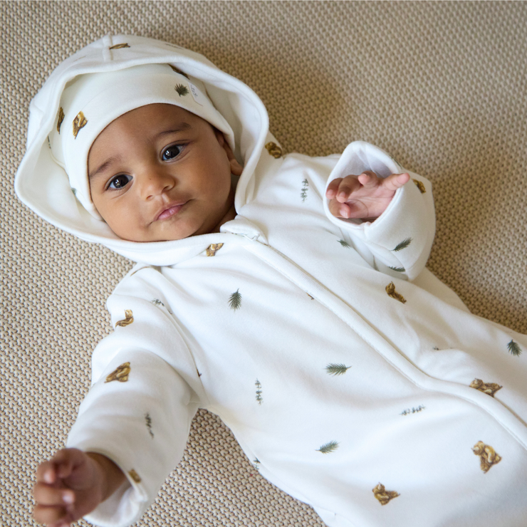 Brown Bear Pramsuit