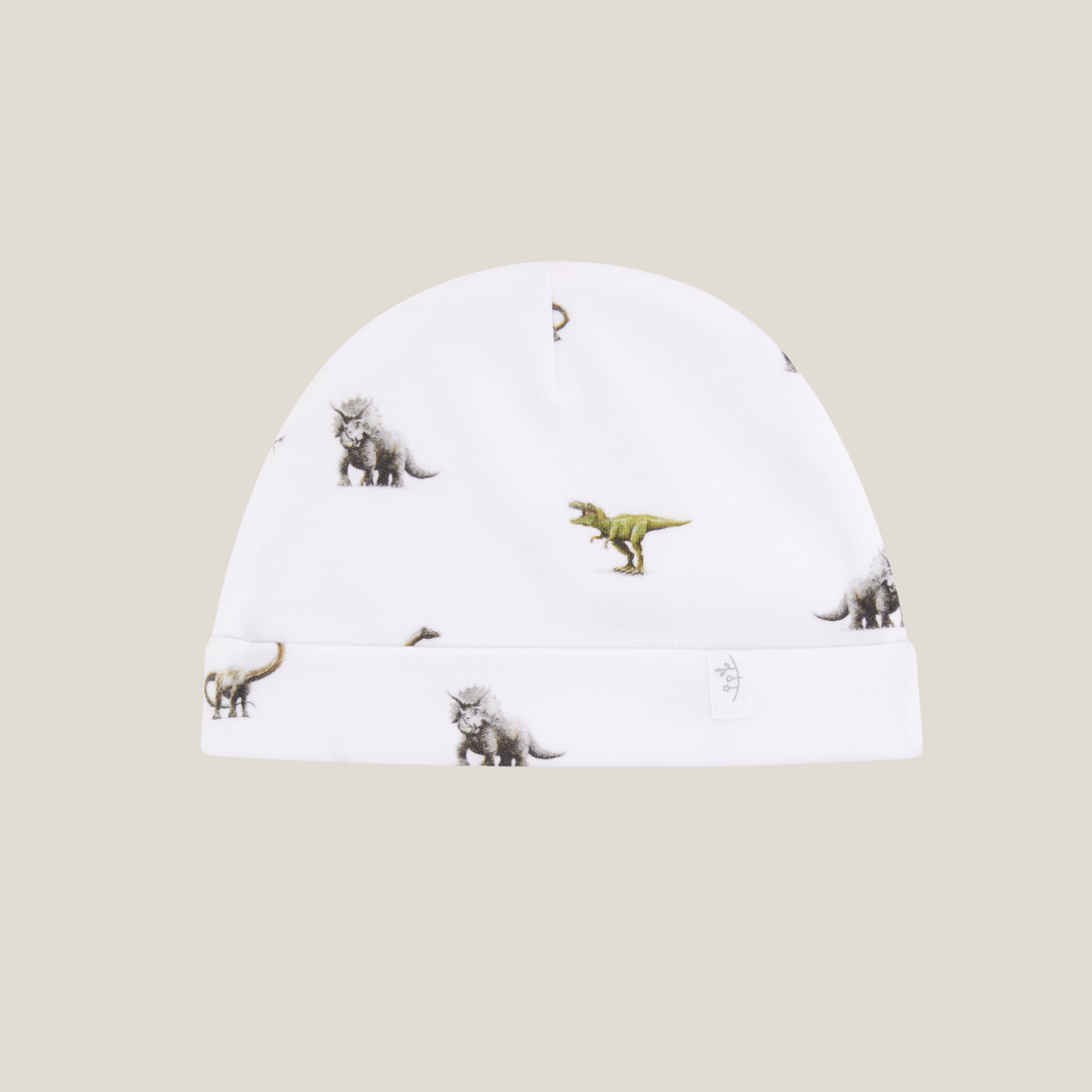 Hat - Dinosaur