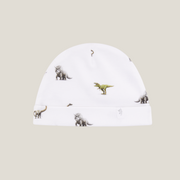 Hat - Dinosaur