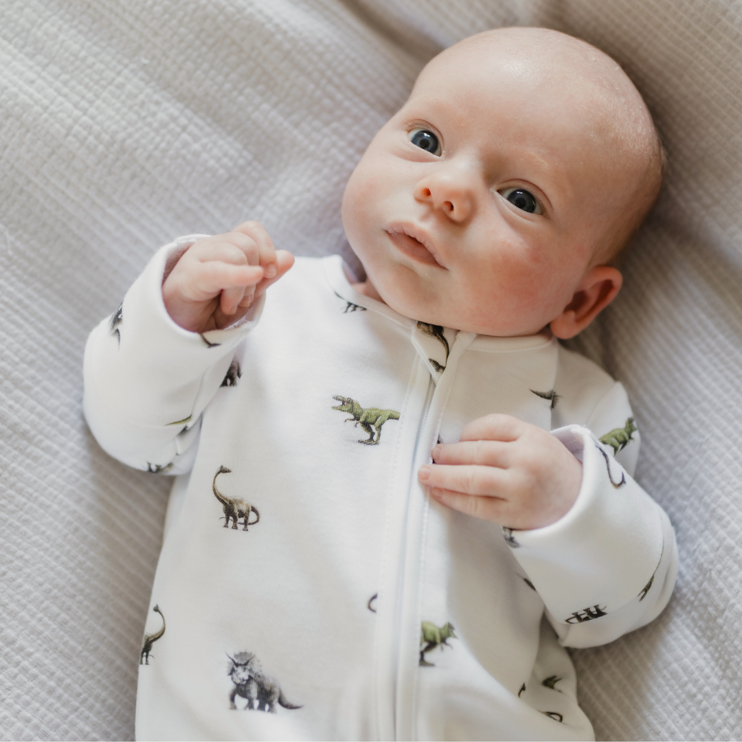 Sleepsuit - Dinosaur