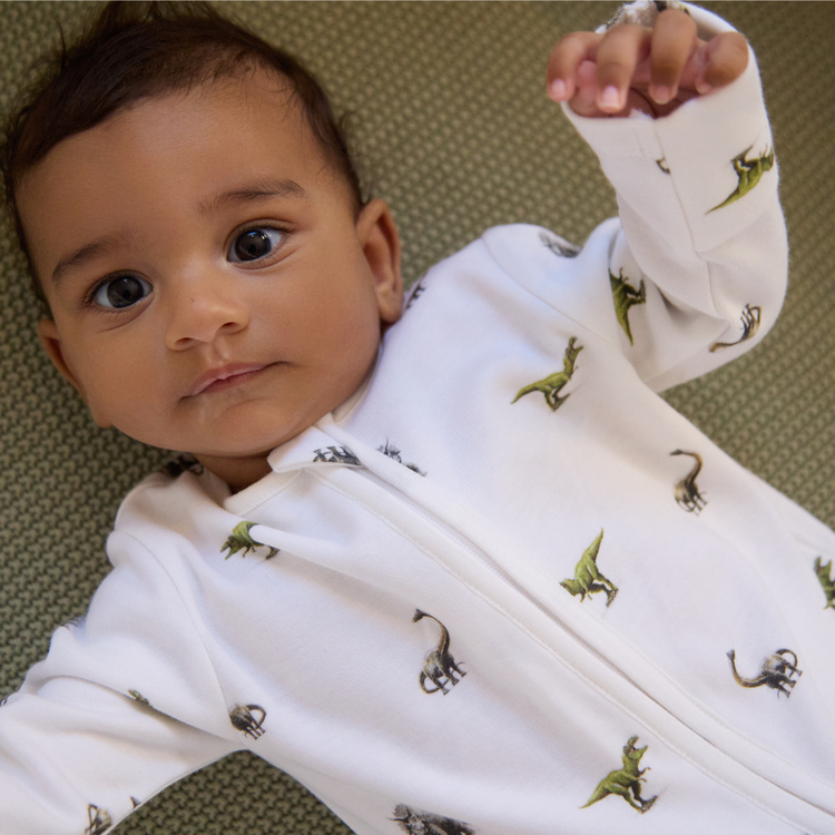 Dinosaur Sleepsuit