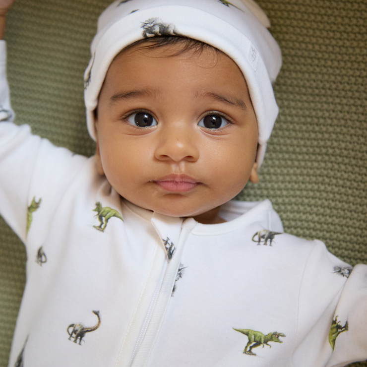 Dinosaur Sleepsuit