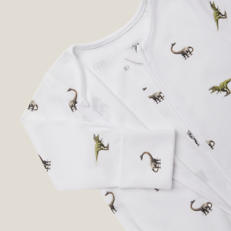 Dinosaur Sleepsuit