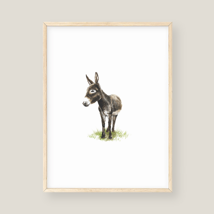 Wall Art - Donkey