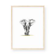 Wall Art - Elephant