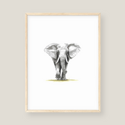 Wall Art - Elephant