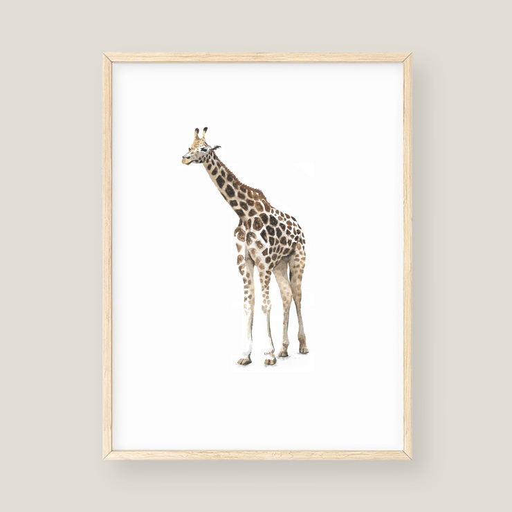 Wall Art - Giraffe