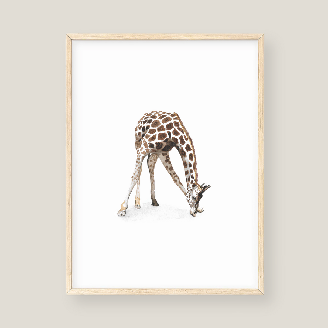 Wall Art - Giraffe