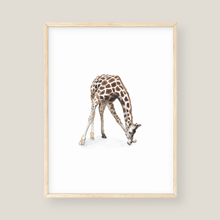 Wall Art - Giraffe