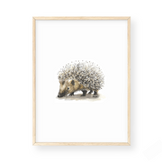 Wall Art - Hedgehog