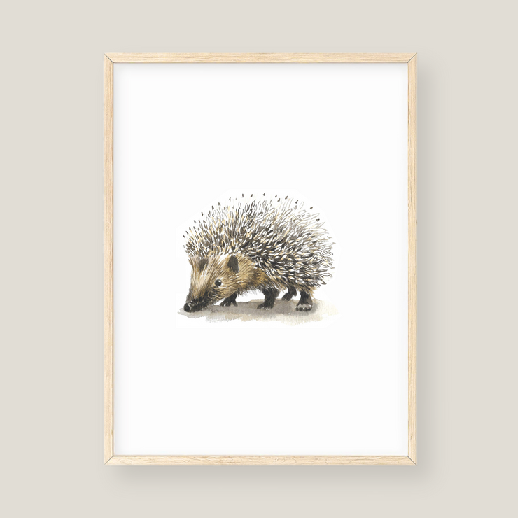 Wall Art - Hedgehog