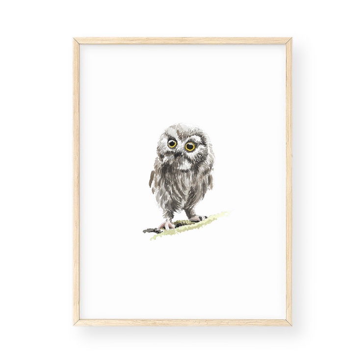 Wall Art - Owl