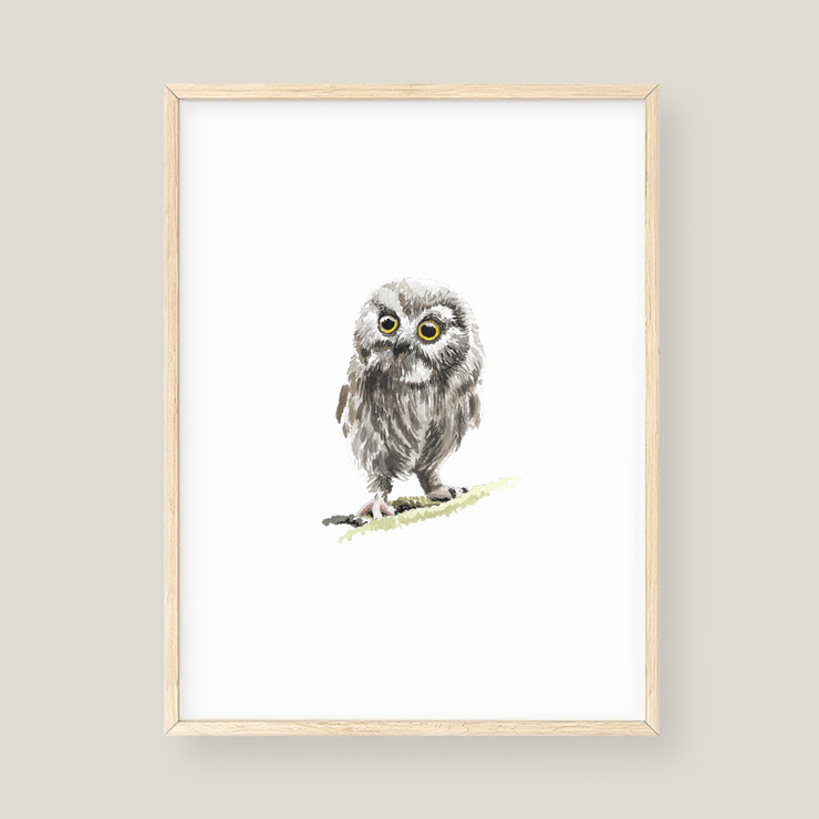 Wall Art - Owl