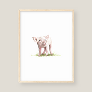 Wall Art - Pig