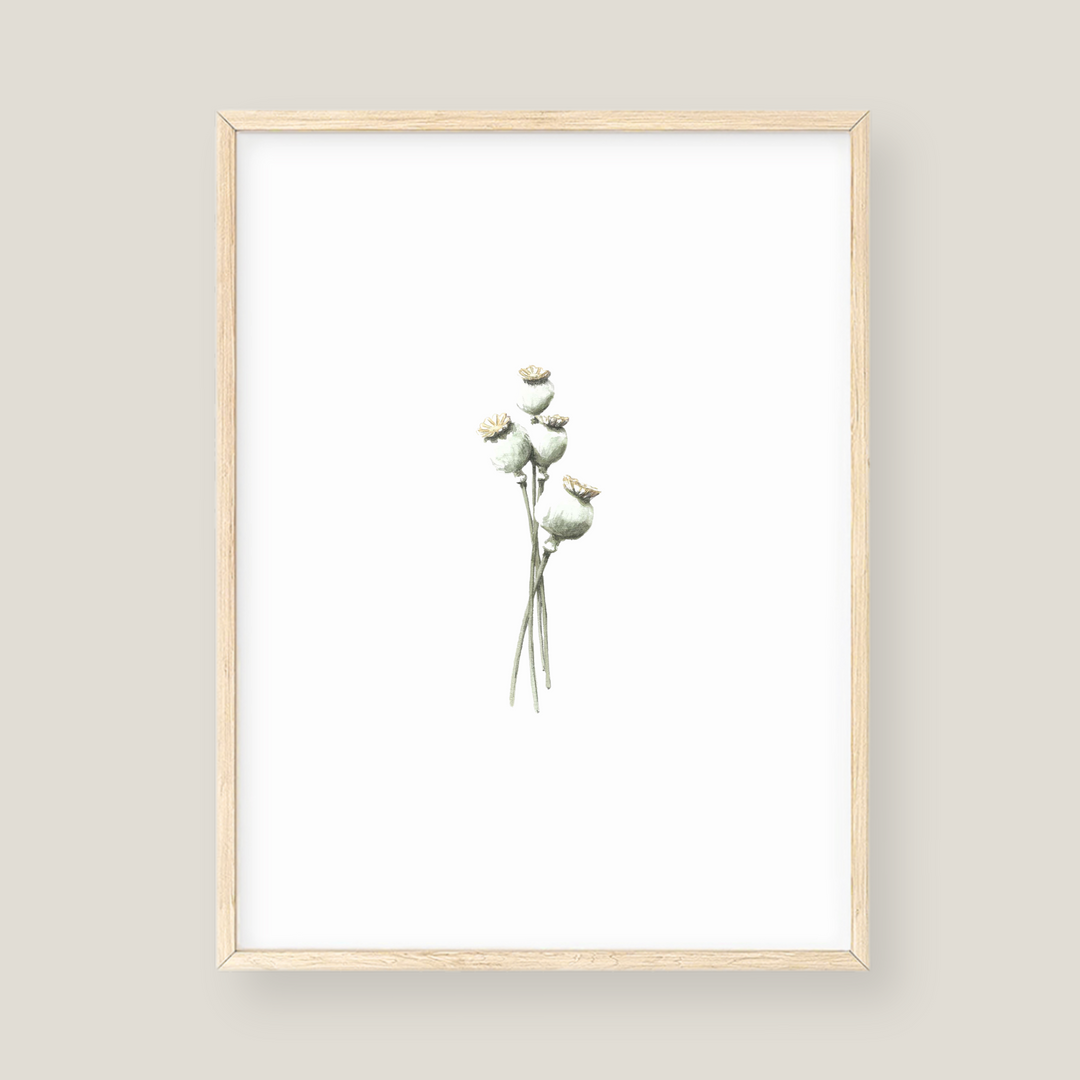 Wall Art - Poppy