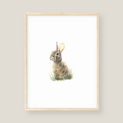 Wall Art - Rabbit