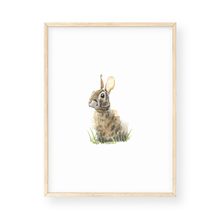 Wall Art - Rabbit
