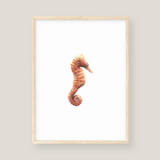 Wall Art - Seahorse