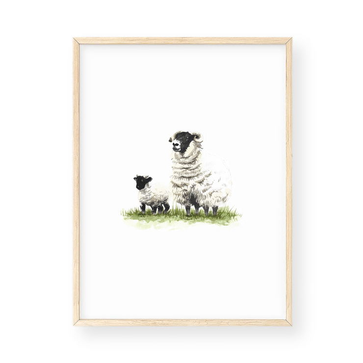 Wall Art - Sheep