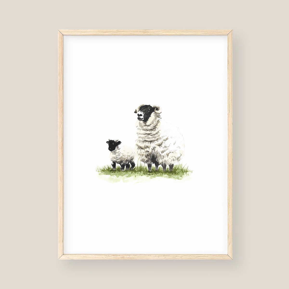 Wall Art - Sheep