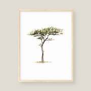 Wall Art - Tree