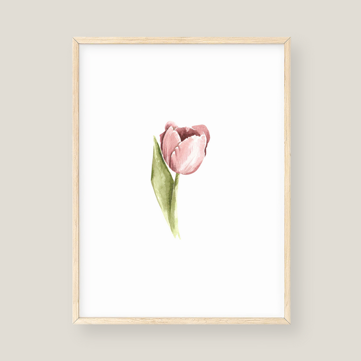 Wall Art - Tulip