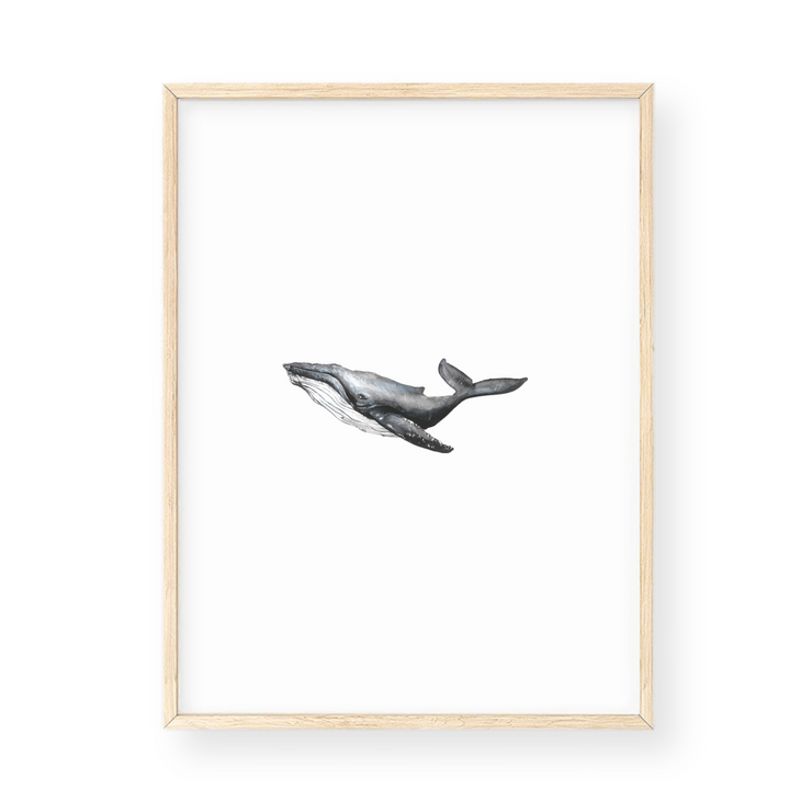 Wall Art - Whale
