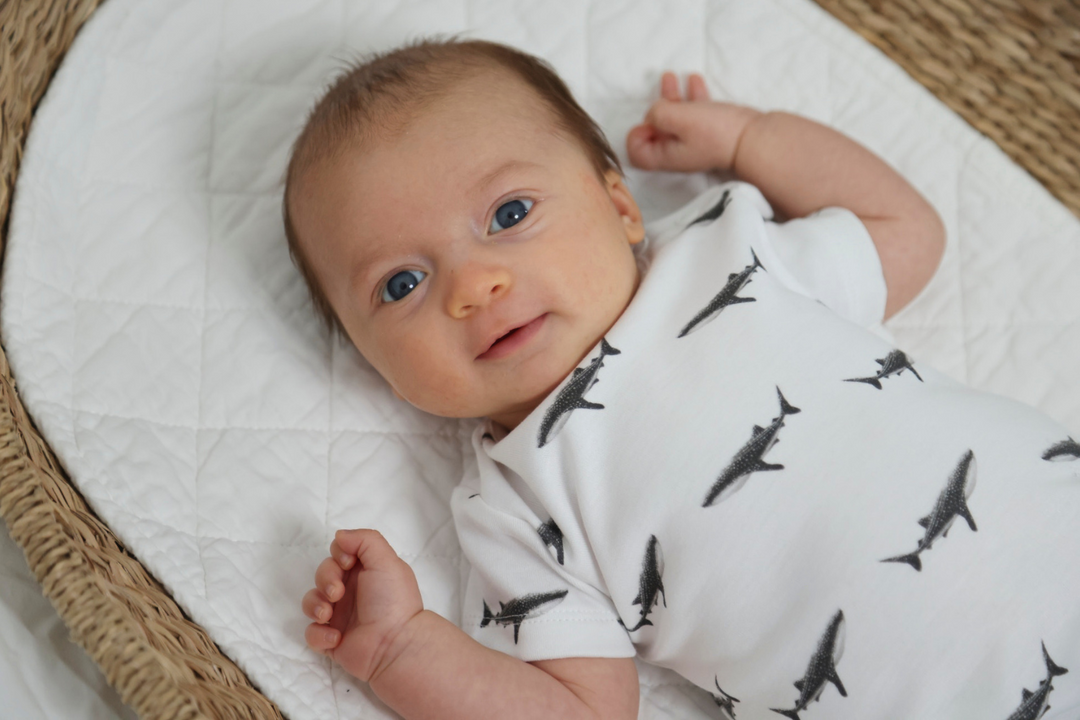 Romper - Whale Shark