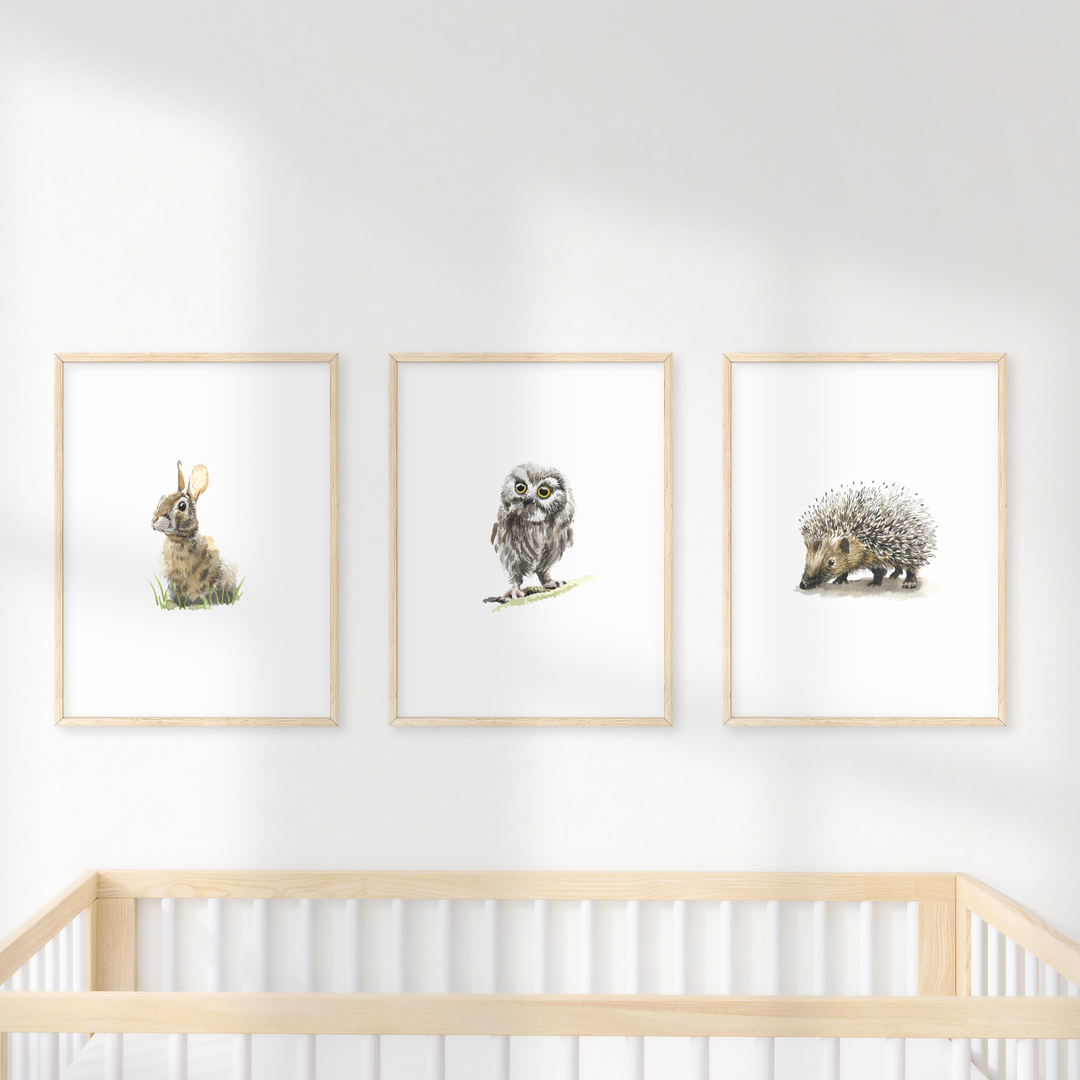 Wall Art - Hedgehog