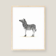 Wall Art - Zebra