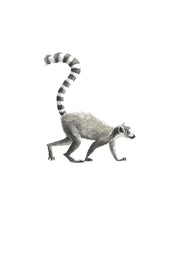 Wall Art - Lemur